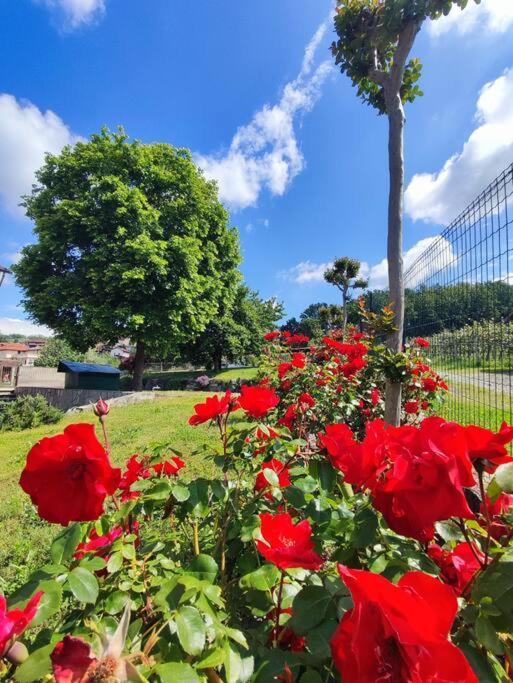 Casa Caliera Villa วิเวโรเน ภายนอก รูปภาพ